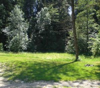 Natur vor dem Haus Bild 14: Das blaue Haus
