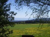 Ausblick Bild 2: Landhaus Bodensee in Panormasichtlage Hunde sind herzlich willkommen. WOHNUNG 2