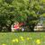 Galeriebild 5